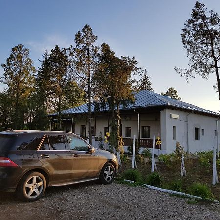 Conacul Balta Alba Hotel Екстериор снимка