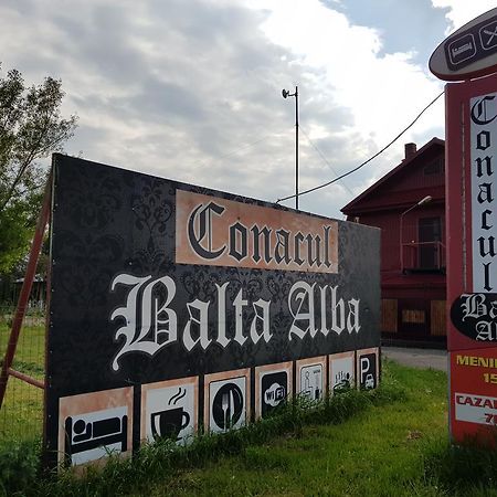Conacul Balta Alba Hotel Екстериор снимка